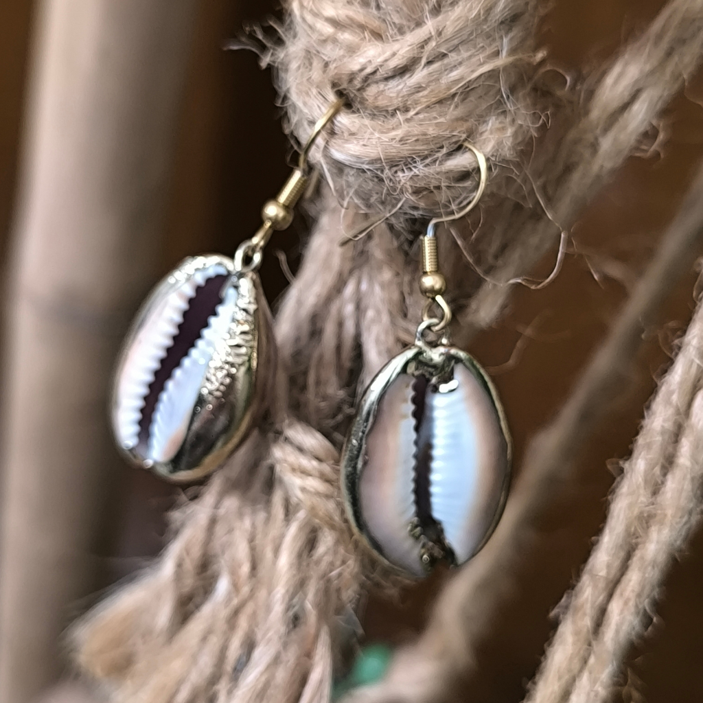 Κοχύλι της Ερήμου