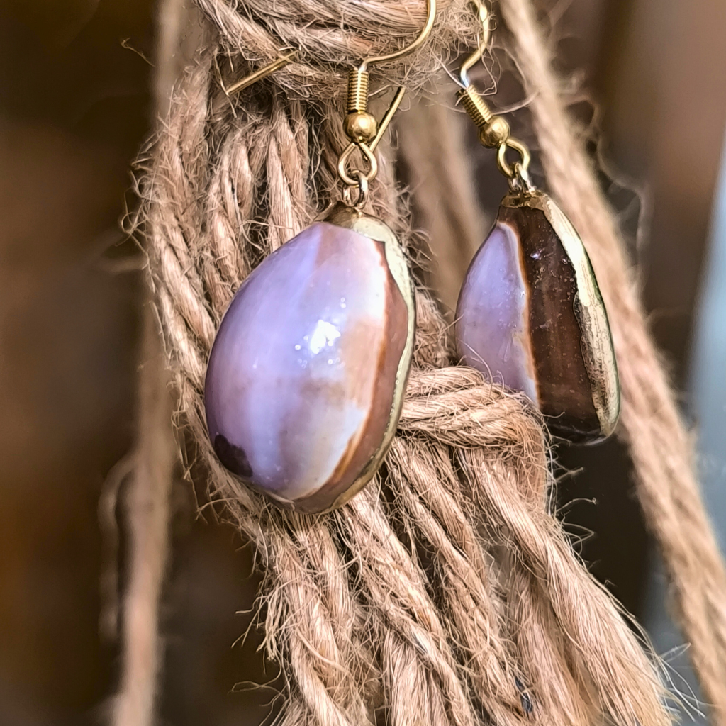 Κοχύλι της Ερήμου