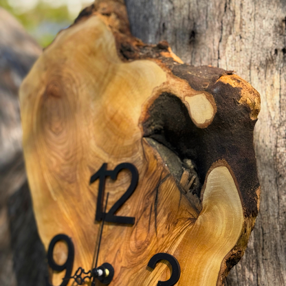 Ρολόι τοίχου από Ρίζα Ελιάς