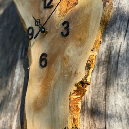 Ρολόι τοίχου από Ρίζα Ελιάς