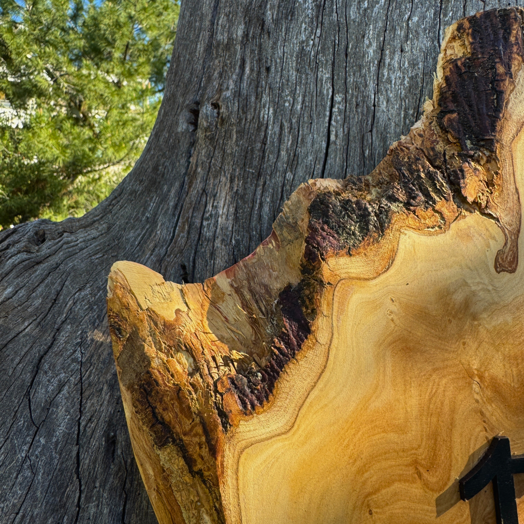 Ρολόι τοίχου από Ρίζα Ελιάς